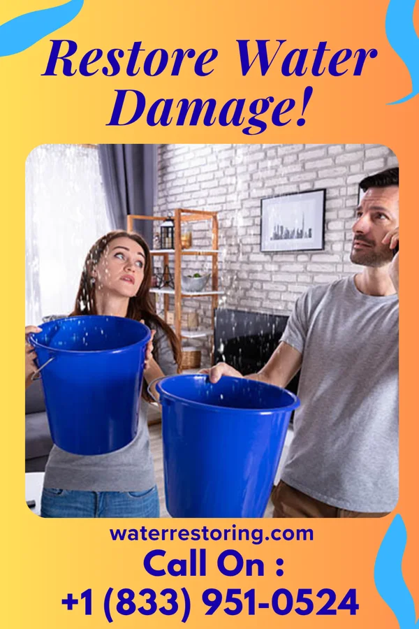 water restoration Citywide Water Cleanup & Sons Verplanck